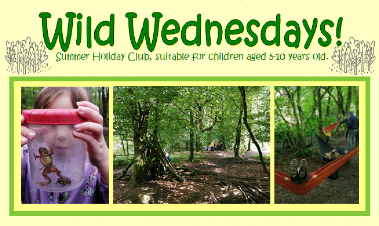 Wild Wednesdays!