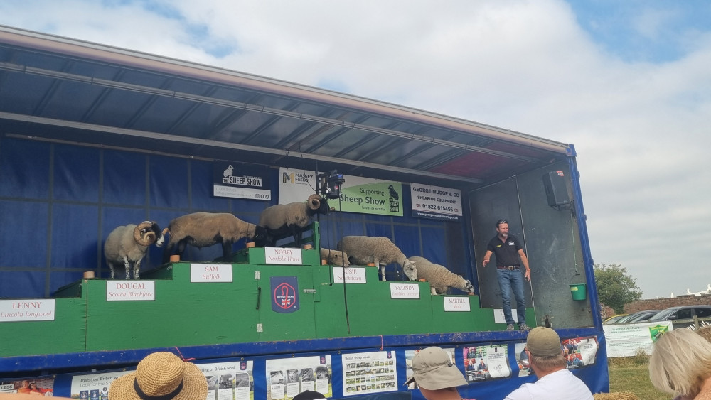 This weekend's events include the return of the Ashby Show (Photo: Grace Kennington)