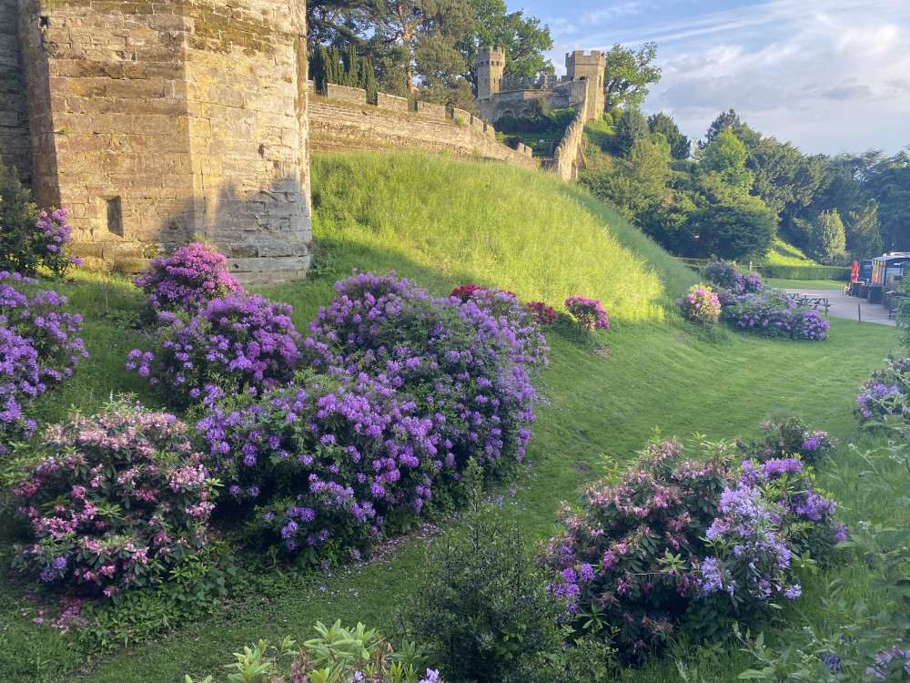 Are you looking for something to do in Warwick this weekend? Well here are our top three picks of events and things to do (image via Nub News) 