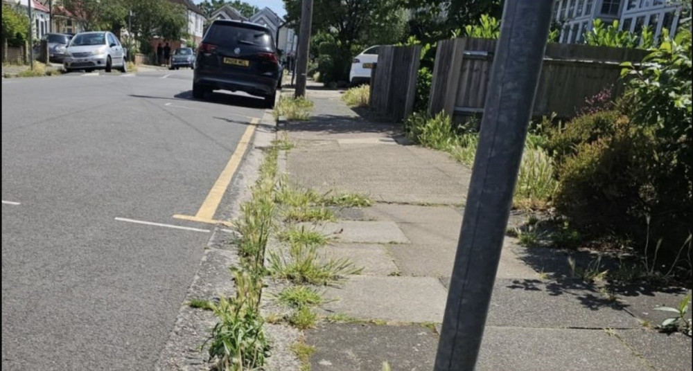 Kingston Council began its annual weed spray programme across the borough on 15 June (Credit: Cllr Olly Wehring)