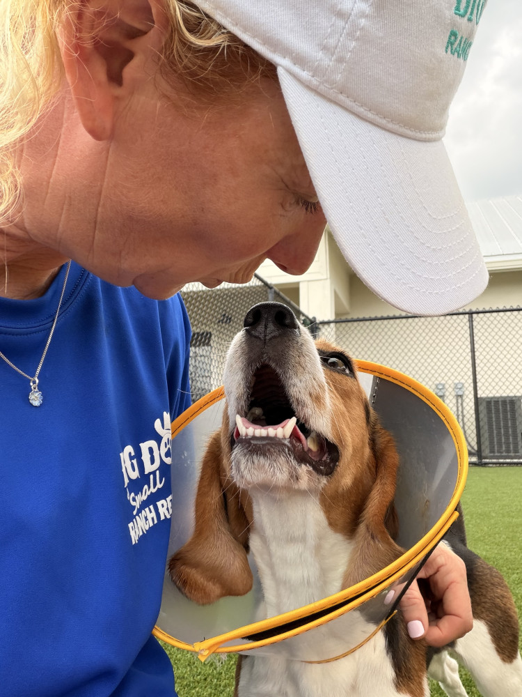 Alsager's Alex Ashman has shared her experience of volunteering to raise awareness of the issues and to encourage people to buy cruelty-free brands. (Photo: Alex Ashman)