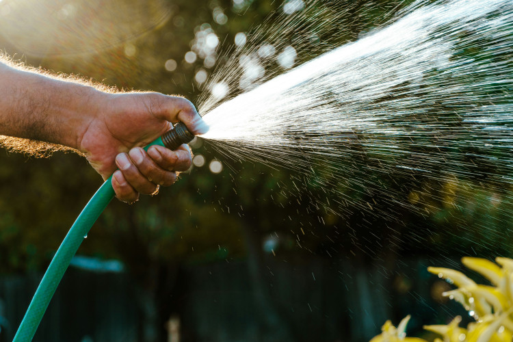 Anglian Water have announced their first hosepipe ban in 14 years (Photo: Nishat Samadzai)