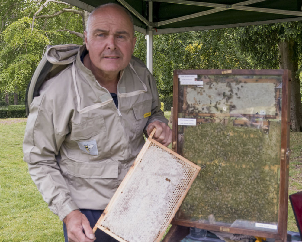 Bees Needs Day