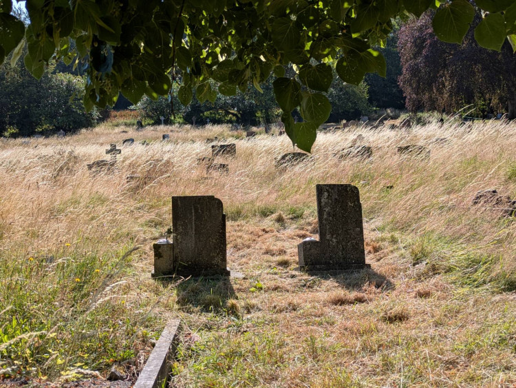 Hot weather has delayed planned works at Glastonbury Cemetery (LL/DILY))