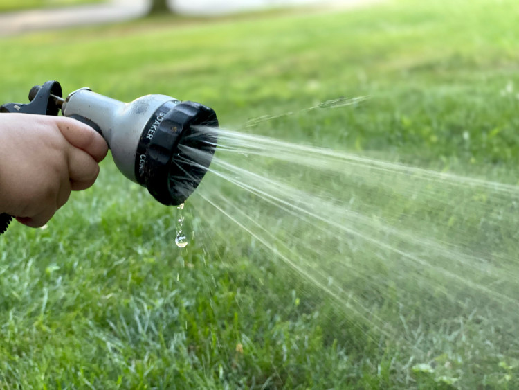 The hosepipe ban was introduced by Anglian Water following a long period of hot, dry weather (Photo: Steve DiMatteo)
