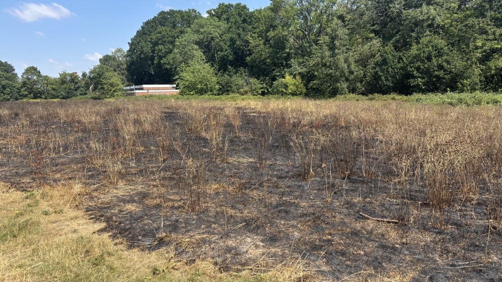 Firefighters found a small grassland fire affecting parkland near Dorridge Scout Hut (Photos: Nub News)