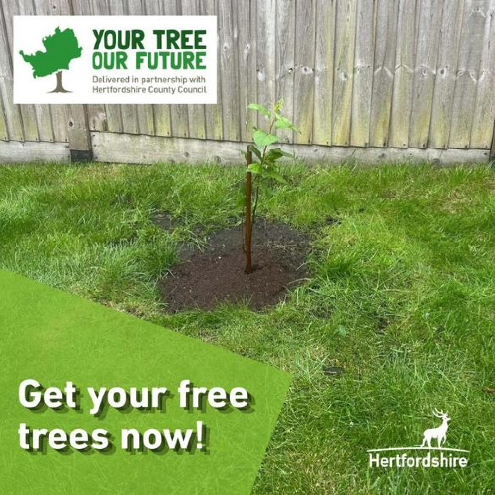 Get your free tree today! 
