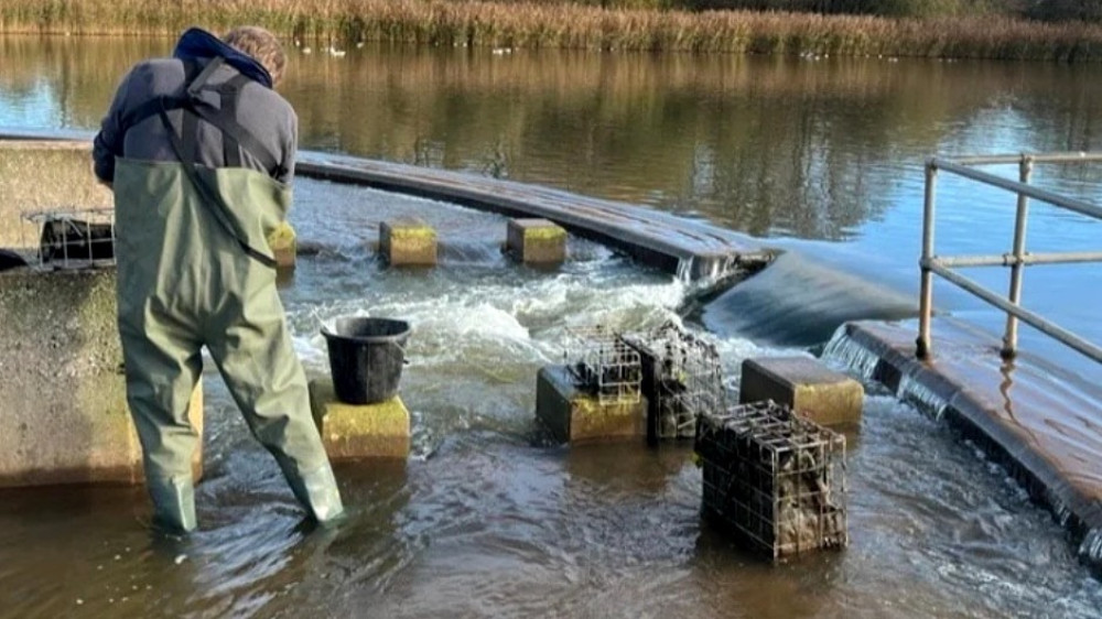 Wells-based Rookwood Operations has successfully tested a phosphate-removing material with Bristol Water at Chew Valley Reservoir. (Photo: Bristol Water) 