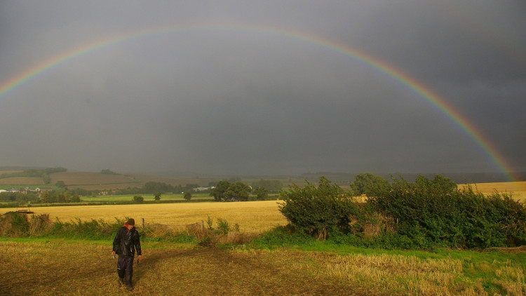 The South Warwickshire Local Plan needs to be submitted before the end of 2026 (image via WCC)