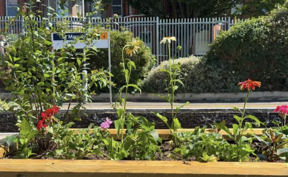 Friends of St Margarets Station is hoping to raise money to refresh the station's planters (credit: Sarah Penny/ Collectiv).