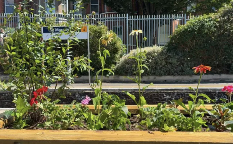 Friends of St Margarets Station is hoping to raise money to refresh the station's planters (credit: Sarah Penny/ Collectiv).
