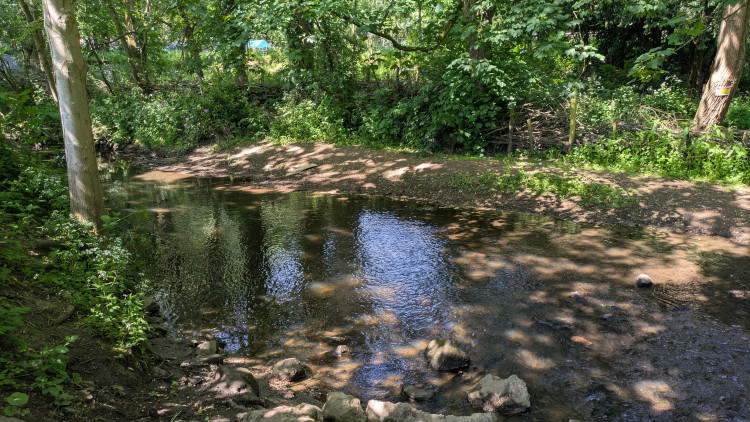 Restoration work is set to begin at Bucknall Park in August (image via Tamsin Harrison)