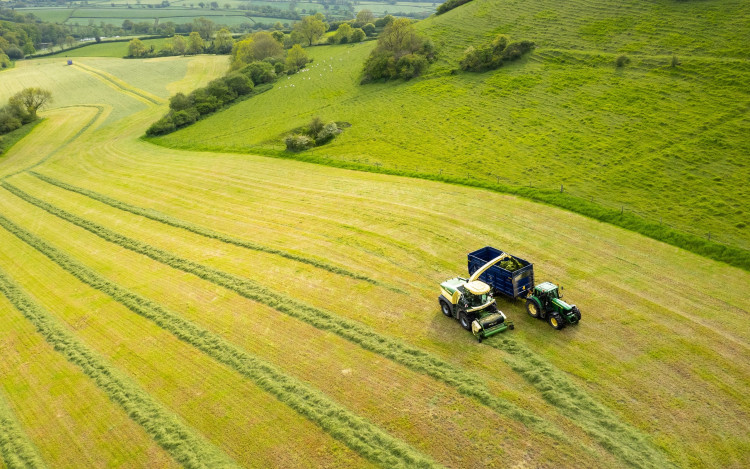 In Wells, there is a Paralegal vacancy in agriculture and rural property. (Photo: Unsplash) 