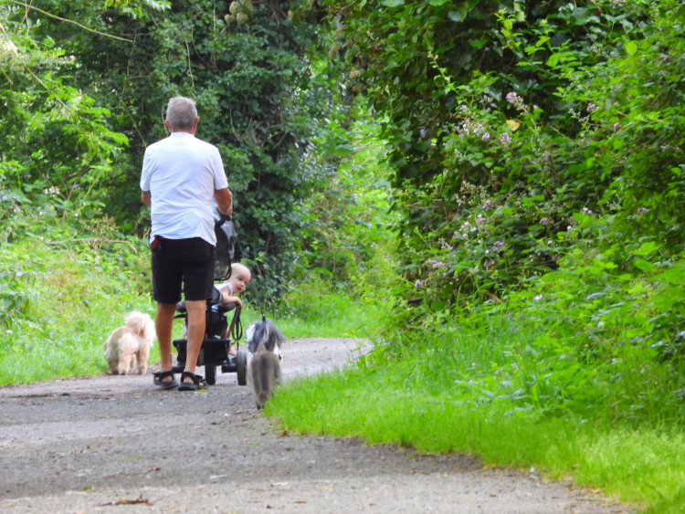 : The Strawberry Line, which links the Wells and Shepton Mallet area to one of Somerset’s best-loved walking and cycling routes, has been shortlisted for Britain’s Favourite Path 2026.