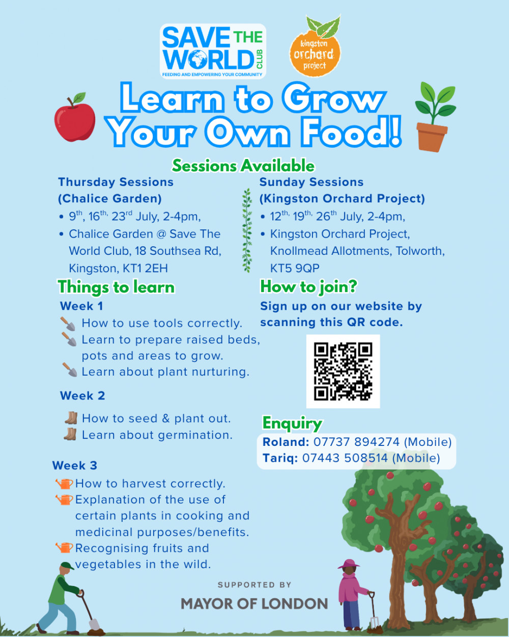 Learn to grow your own food (Knollmead allotment) Week 3