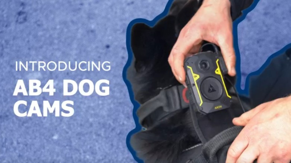 The technology should help to keep furry friends safe (image via Staffordshire Police)
