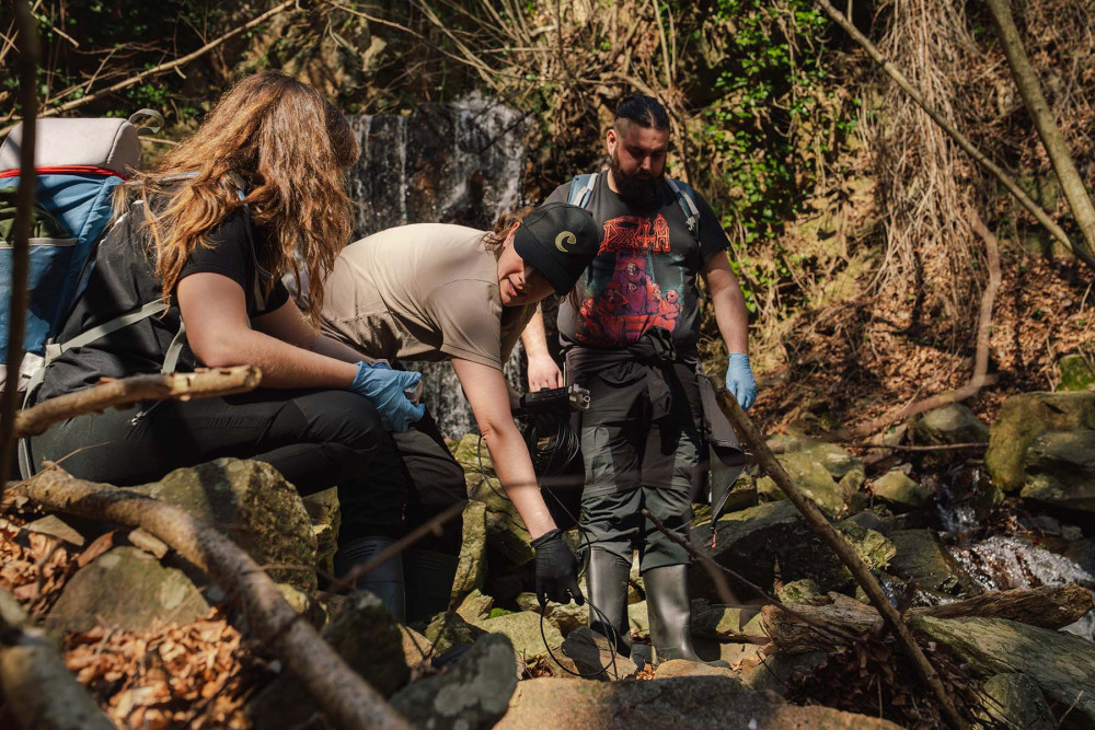 Rare newts from Chester Zoo have been released into the wild (Image via: Chester Zoo)