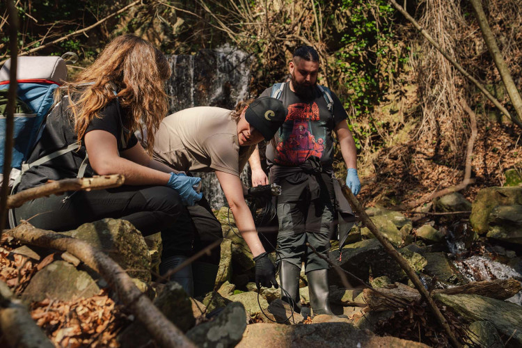 Rare newts from Chester Zoo have been released into the wild (Image via: Chester Zoo)