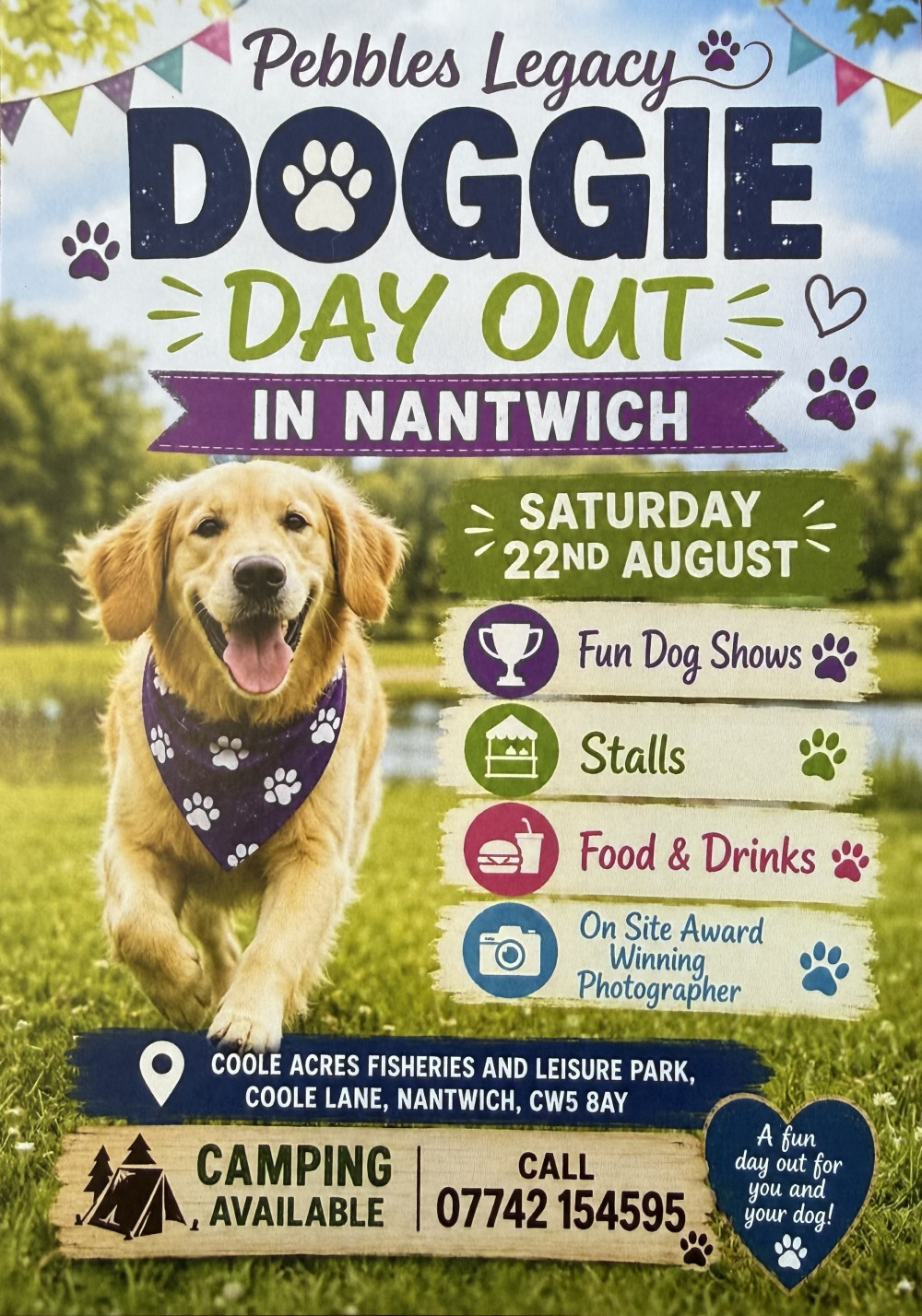 Doggie Day Out in Nantwich