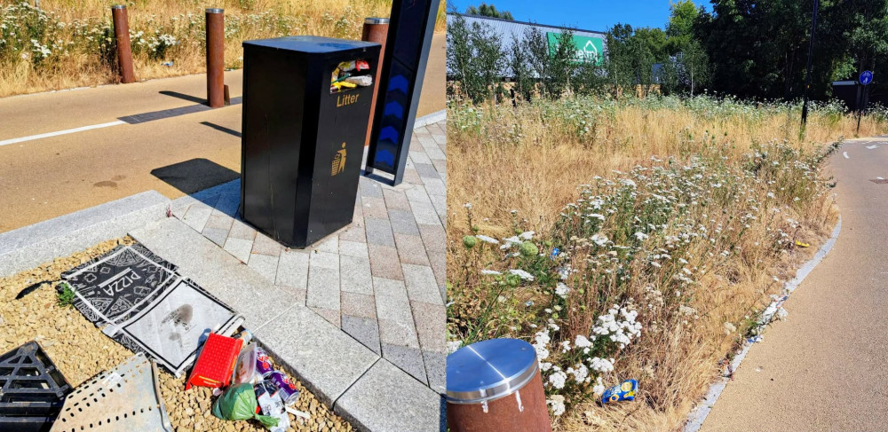 Crewe Clean Team raised the concerns after another litter pick at the route linking Crewe Lifestyle Centre with High Street this July (Photo: Crewe Clean Team)