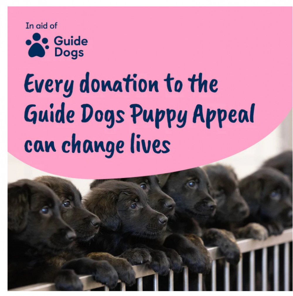 Kenilworth Guide Dogs fundraising gin tasting evening