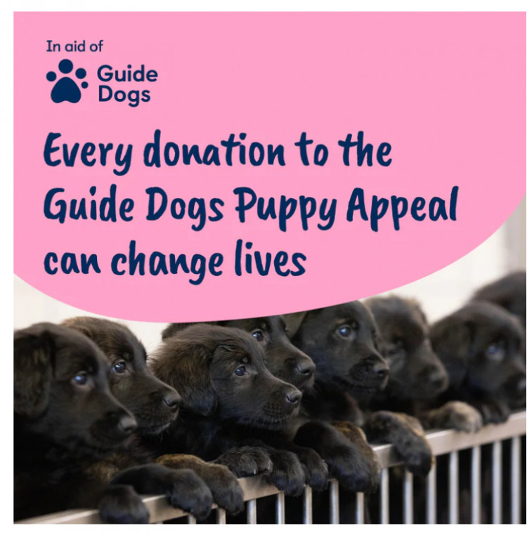 Kenilworth Guide Dogs fundraising gin tasting evening