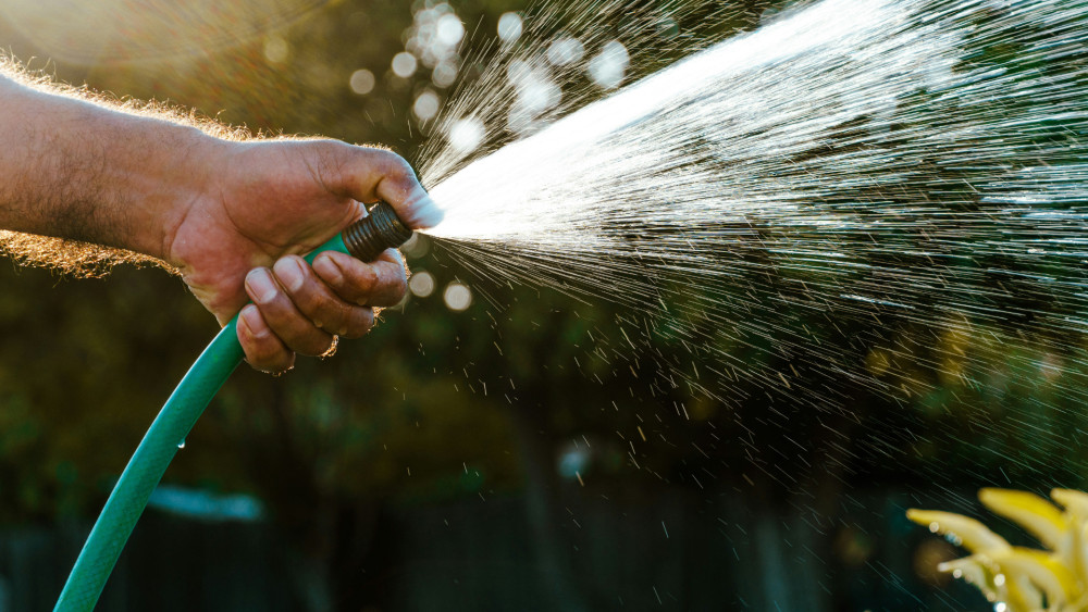 Twickenham has been hit by Thames Water's temporary ban on hosepipes (credit: Unsplash).