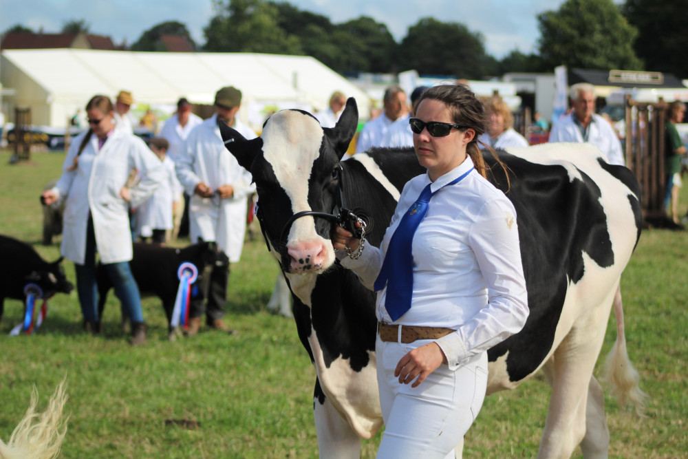 The Mid-Somerset Show is heading back to Shepton Mallet 