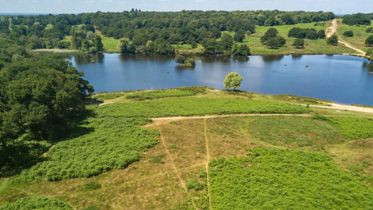 The three-year project investigates underground conduits, wells, reservoirs and tunnels hidden beneath Richmond Park, Bushy Park and Greenwich Park (credit: The Royal Parks).