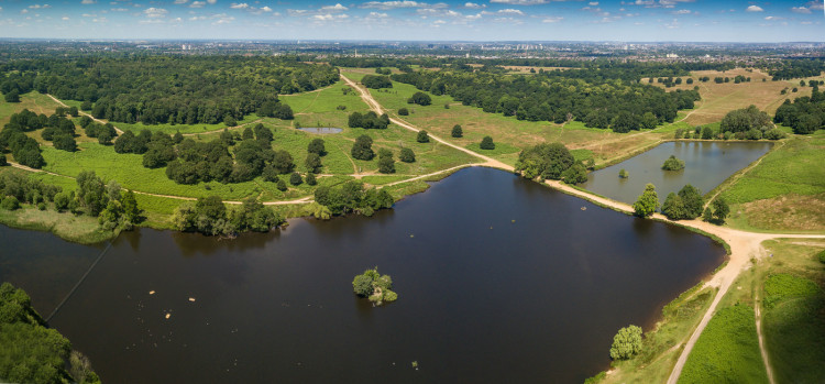 The three-year project investigates underground conduits, wells, reservoirs and tunnels hidden beneath Richmond Park, Bushy Park and Greenwich Park (credit: The Royal Parks).
