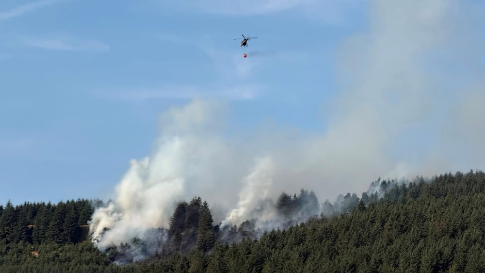 Cheshire Police are investigating a fire at Macclesfield Forest that destroyed two hectares of grassland (Credit: CFRS)