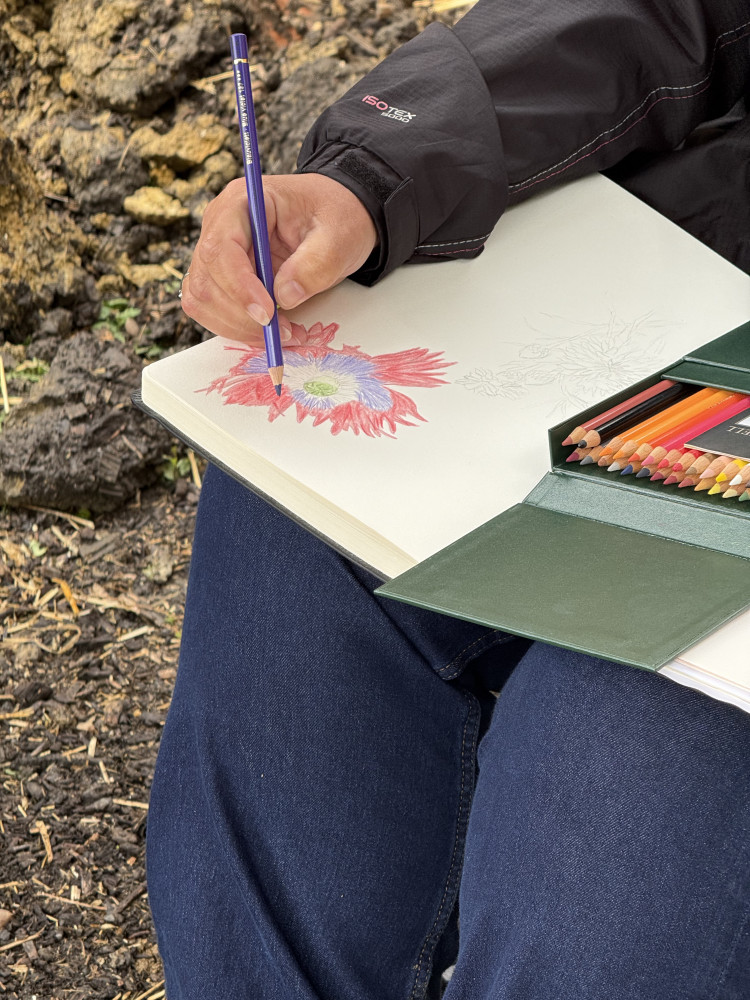 Discover Drawing