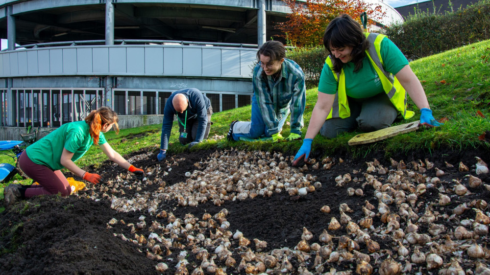 The team at Groundwork Greater Manchester have carried out similar projects across the region (Image - Groundwork Greater Manchester)