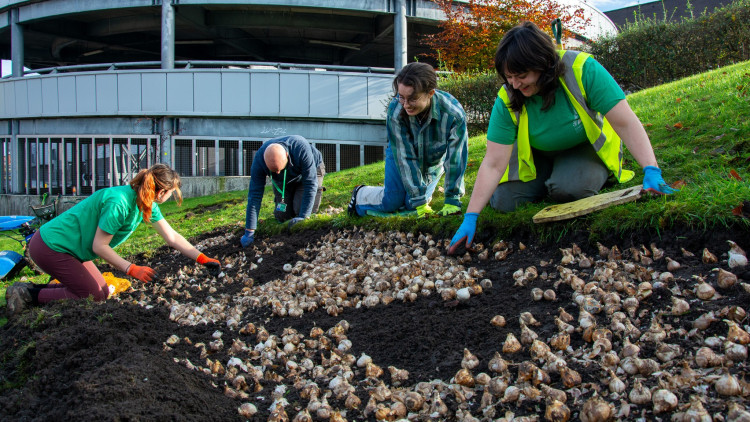 The team at Groundwork Greater Manchester have carried out similar projects across the region (Image - Groundwork Greater Manchester)