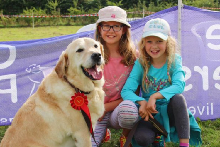 Canine Partners annual Family Fun Day 