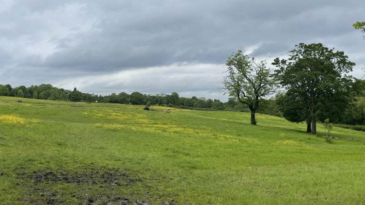 Reddish Vale Country Park is being 'overwhelmed' with people 'making it a mess' by lighting barbecues and littering during recent heatwaves (Image - Nub News)