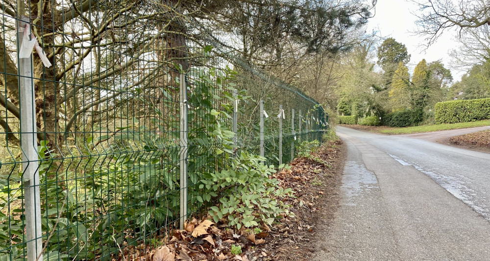 Crewe Lane will shut on August 8 for "carriageway patching" (image by Nub News)
