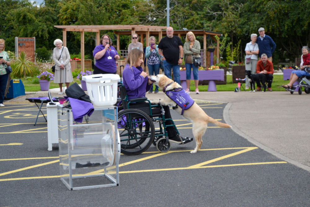 This weekend's events include a family fun day with Canine Partners (Photo: Canine Partners)