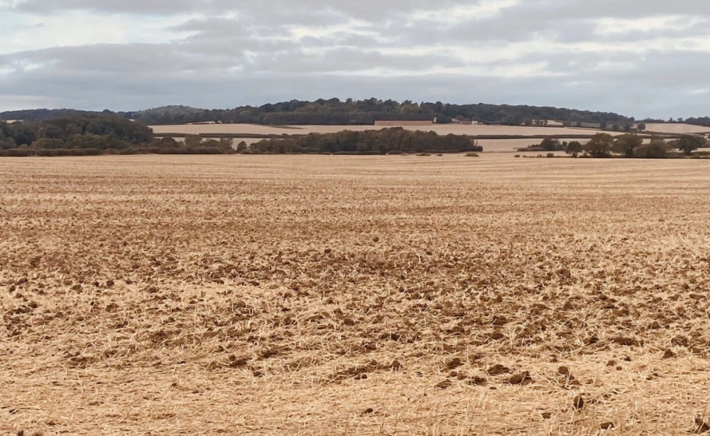 Dry fields just outside of Hitchin