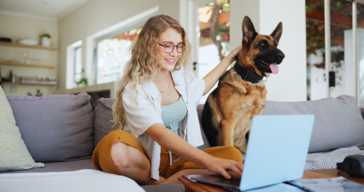 Veterinary costs in the UK have skyrocketed over the past few years. A routine checkup is manageable, but complex diagnostics like MRI scans or specialist orthopaedic surgeries can easily run into the thousands. As a result, pet owners are increasingly looking for top-tier insurance that leaves no room for surprise bills.