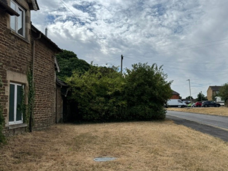 Concerns were raised about the safety of a bush on Long Row, Oakham (Credit: Tim Norton)