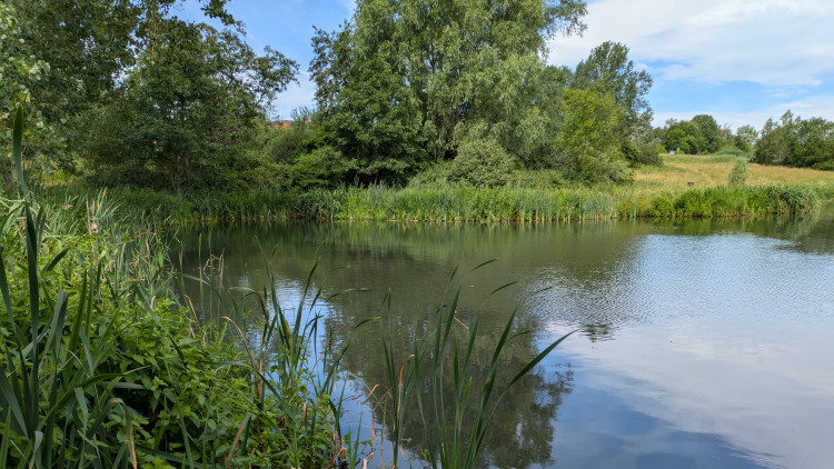 Nature restoration work is due to begin at Ford Green Brook (image via Tamsin Harrison)