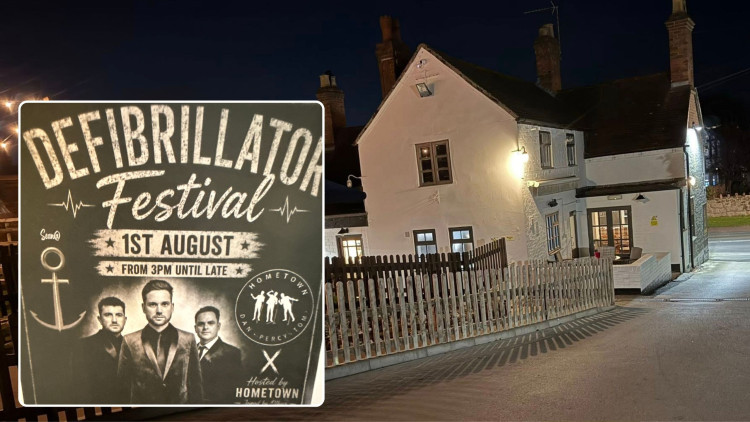 Defibrillator Festival is coming to The Anchor this weekend (images supplied)