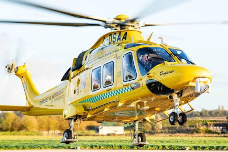 Wells Party at Palace Farm to support air ambulance (File photo) 