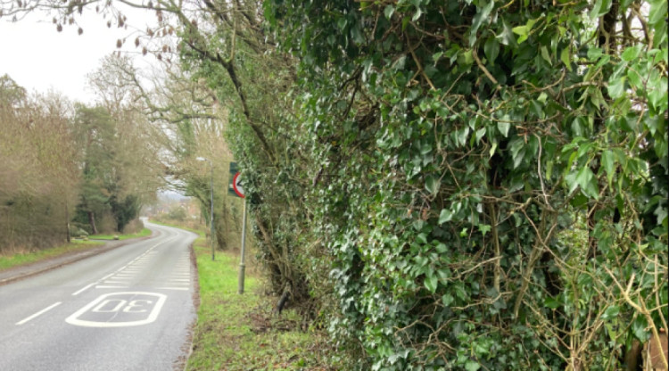 Here are the biggest planning stories from the last week in Kenilworth (image via planning application)