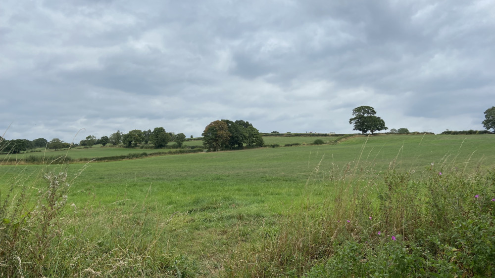 Norton Green North (image via LDRS)