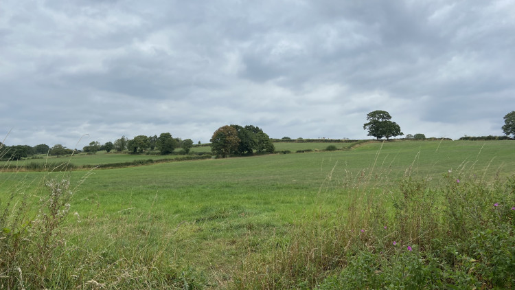 Norton Green North (image via LDRS)
