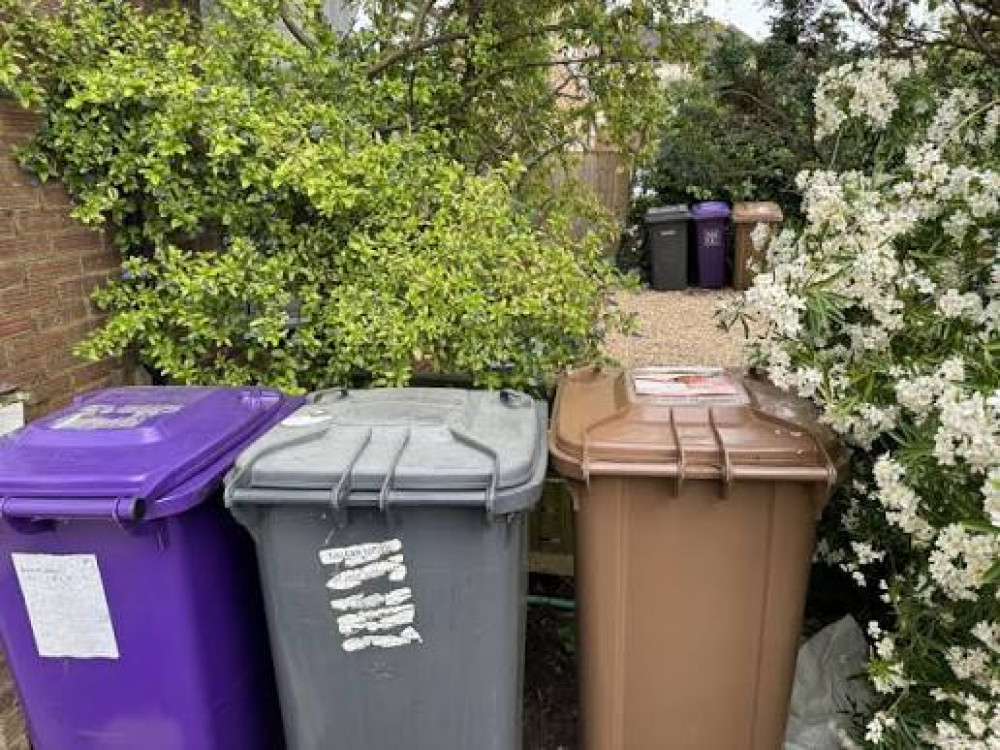 looks like it’s ‘bin’ worth it  - say council 
