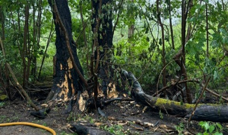 Deliberate fires have been reported throughout 2026 in Warwickshire (image via WFRS)