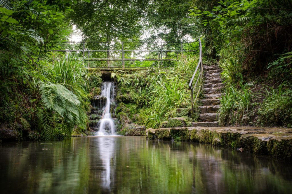 Free August bus day trips from Glastonbury, Street, Wells and Shepton Mallet (Pictured: Ninesprings in Yeovil) 